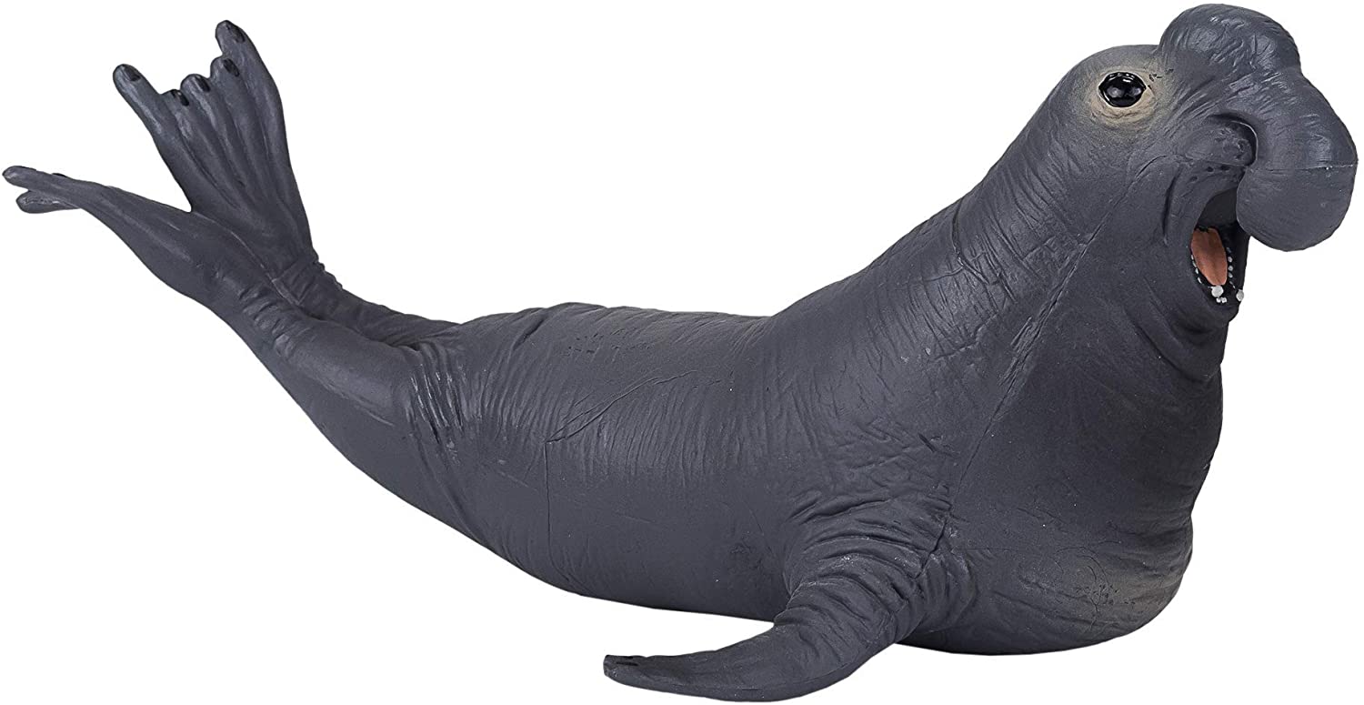 Elephant seal cheap stuffed animal