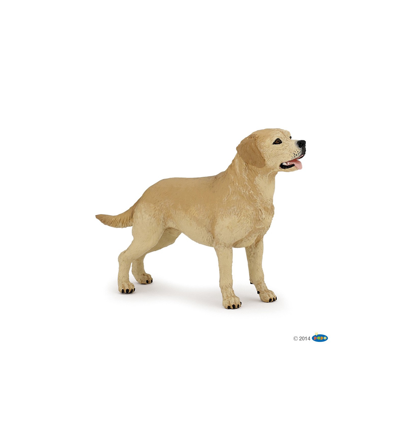 Lab dog best sale online shopping